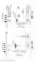 Fig. 15 - Anti-wall teichoic antibodies and conjugates