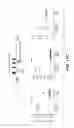 Fig. 17 - Anti-wall teichoic antibodies and conjugates