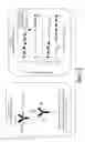 Fig. 18 - Anti-wall teichoic antibodies and conjugates