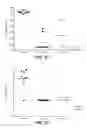 Fig. 44 - Anti-wall teichoic antibodies and conjugates