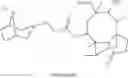 Fig. 61 - Anti-wall teichoic antibodies and conjugates