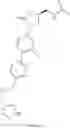 Fig. 69 - Anti-wall teichoic antibodies and conjugates