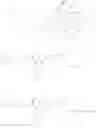 Fig. 76 - Anti-wall teichoic antibodies and conjugates