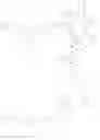 Fig. 84 - Anti-wall teichoic antibodies and conjugates