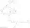 Fig. 99 - Anti-wall teichoic antibodies and conjugates