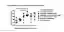 Fig. 01 - METHODS AND COMPOSITIONS FOR ATTENUATING GENE THERAPY ANTI-VIRAL TRANSFER VECTOR IMMUNE RESPONSES