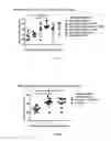 Fig. 02 - METHODS AND COMPOSITIONS FOR ATTENUATING GENE THERAPY ANTI-VIRAL TRANSFER VECTOR IMMUNE RESPONSES