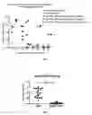 Fig. 05 - METHODS AND COMPOSITIONS FOR ATTENUATING GENE EDITING ANTI-VIRAL TRANSFER VECTOR IMMUNE RESPONSES
