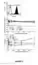 Fig. 03 - VECTOR ENCODING THERAPEUTIC POLYPEPTIDE AND SAFETY ELEMENTS TO CLEAR TRANSDUCED CELLS