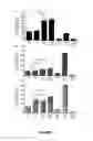 Fig. 08 - VECTOR ENCODING THERAPEUTIC POLYPEPTIDE AND SAFETY ELEMENTS TO CLEAR TRANSDUCED CELLS