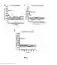 Fig. 03 - Gene therapy composition for use in diabetes treatment