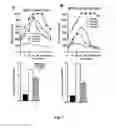 Fig. 04 - Gene therapy composition for use in diabetes treatment