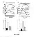 Fig. 05 - Gene therapy composition for use in diabetes treatment