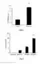 Fig. 10 - Gene therapy composition for use in diabetes treatment