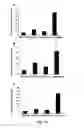 Fig. 11 - Gene therapy composition for use in diabetes treatment