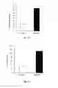 Fig. 12 - Gene therapy composition for use in diabetes treatment