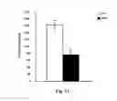 Fig. 13 - Gene therapy composition for use in diabetes treatment