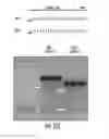 Fig. 34 - Compositions and methods for the expression of CRISPR guide RNAs using the H1 promoter