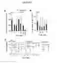 Fig. 02 - Immunoconjugates for the treatment of tumours