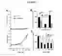 Fig. 03 - Immunoconjugates for the treatment of tumours