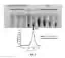 Fig. 05 - Nanoparticles for magnetic resonance imaging applications