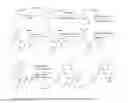 Fig. 04 - Prosthetic compounds for labeling internalizing biomolecules