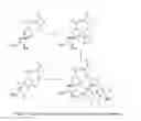 Fig. 09 - Prosthetic compounds for labeling internalizing biomolecules