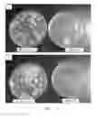 Fig. 09 - Sanitized animal bedding material and process