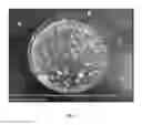 Fig. 10 - Sanitized animal bedding material and process