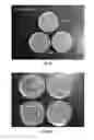 Fig. 12 - Sanitized animal bedding material and process