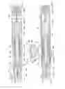 Fig. 40 - Automatic injection device for administration of high viscosity medication
