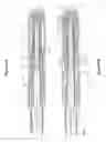 Fig. 02 - Injection device with a spring for a needle protecting sleeve