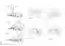 Fig. 05 - AN INJECTION DEVICE