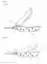 Fig. 10 - AN INJECTION DEVICE