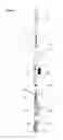 Fig. 02 - Injection device