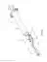 Fig. 08 - SAFETY SYRINGE