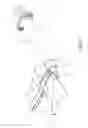 Fig. 27 - SAFETY SYRINGE