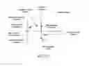 Fig. 11 - Distinguishing between central and obstructive sleep apnea