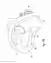 Fig. 15 - Compact oronasal patient interface