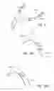 Fig. 09 - Intramold headgear