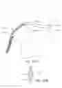 Fig. 62 - Intramold headgear