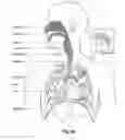 Fig. 05 - Vent arrangement for respiratory device