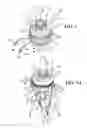 Fig. 03 - Modular handle assembly for a steerable catheter