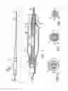 Fig. 02 - Catheter having transitioning shaft segments
