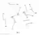 Fig. 05 - Cranial Position Determination System
