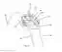 Fig. 13 - Cranial Position Determination System