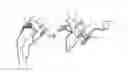 Fig. 01 - Stimulation brace