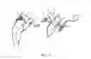 Fig. 08 - Stimulation brace