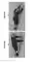 Fig. 05 - Belt-based system for strengthening muscles