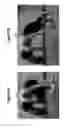 Fig. 06 - Belt-based system for strengthening muscles